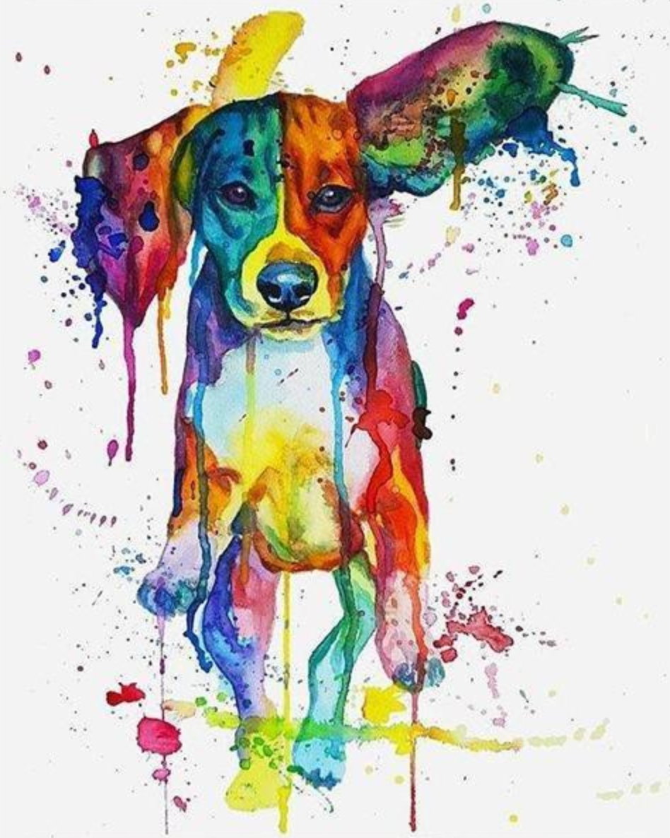 Couleurs Beagle