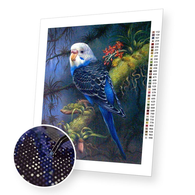 Blue parrot premium diamond painting kit for adults