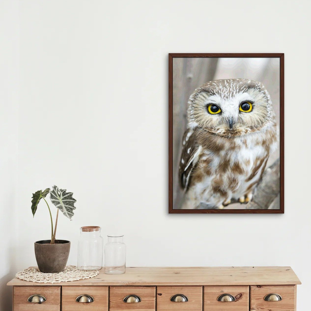 Portrait de hibou