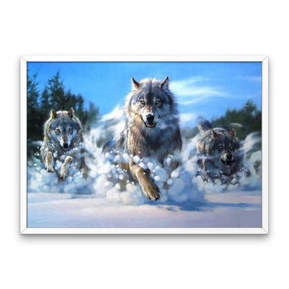 Loups dans la neige