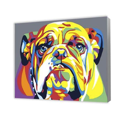 Bouledogue coloré